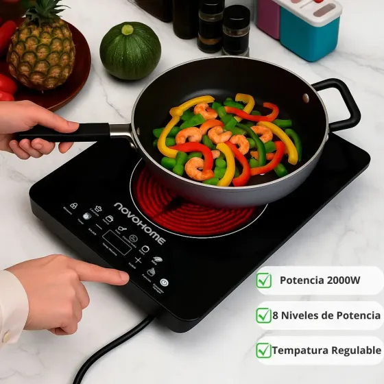 Anafe Electrico 1 Hornalla (8 dias habiles)