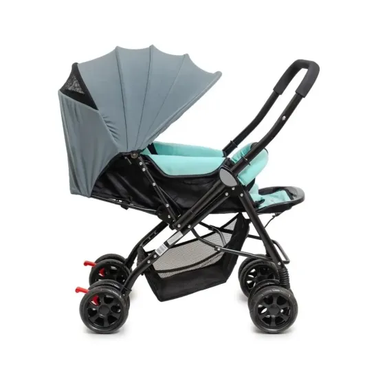 Cochecito de Paseo (8 dias habiles)